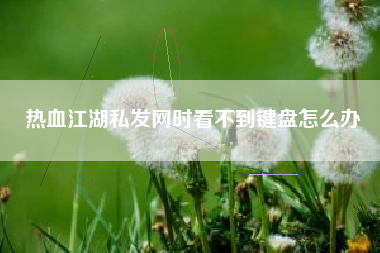 热血江湖私发网时看不到键盘怎么办