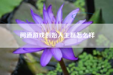 问道游戏创始人王磊怎么样