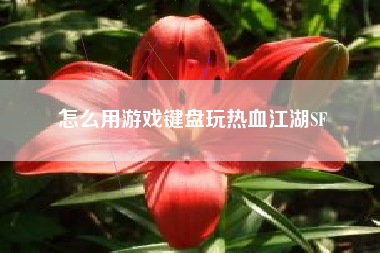 怎么用游戏键盘玩热血江湖SF