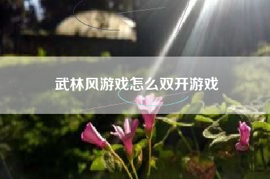 武林风游戏怎么双开游戏