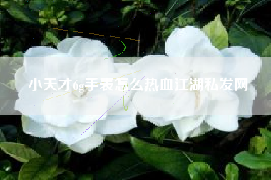 小天才6g手表怎么热血江湖私发网
