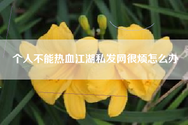个人不能热血江湖私发网很烦怎么办