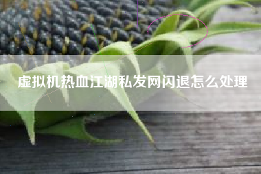 虚拟机热血江湖私发网闪退怎么处理