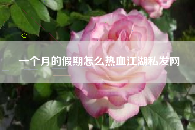 一个月的假期怎么热血江湖私发网