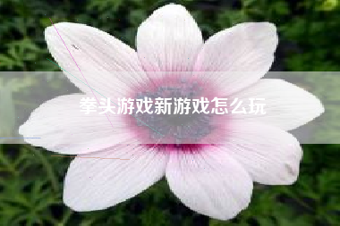 拳头游戏新游戏怎么玩