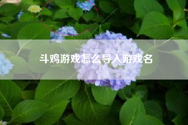 斗鸡游戏怎么导入游戏名  第1张