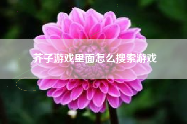 芥子游戏里面怎么搜索游戏  第1张
