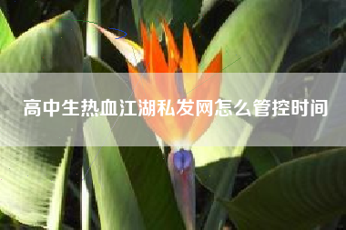高中生热血江湖私发网怎么管控时间  第1张
