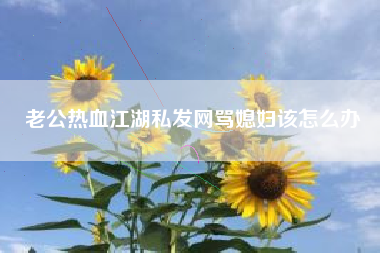 老公热血江湖私发网骂媳妇该怎么办  第1张