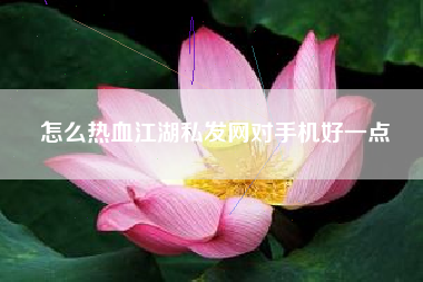 怎么热血江湖私发网对手机好一点  第1张