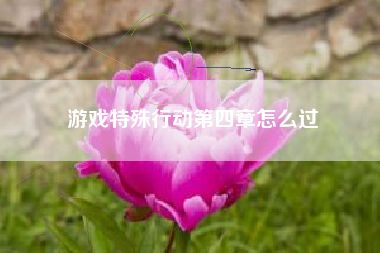 游戏特殊行动第四章怎么过  第1张