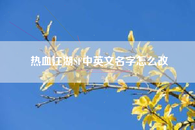 热血江湖SF中英文名字怎么改  第1张