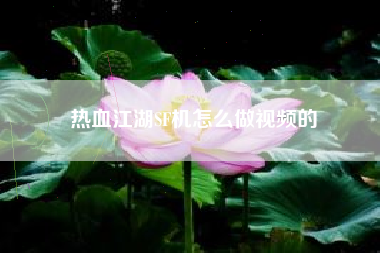热血江湖SF机怎么做视频的  第1张