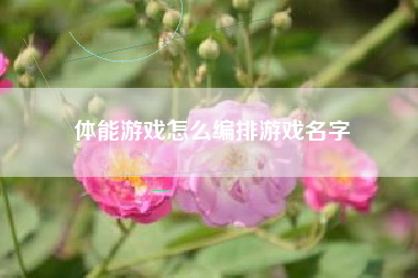 体能游戏怎么编排游戏名字