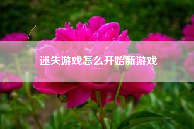 迷失游戏怎么开始新游戏