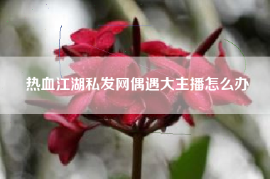 热血江湖私发网偶遇大主播怎么办