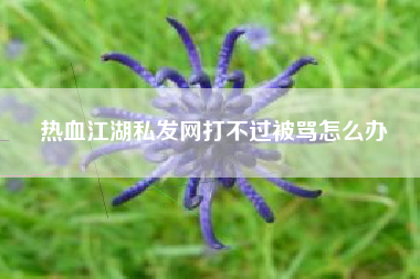 热血江湖私发网打不过被骂怎么办