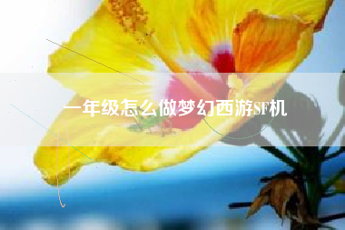 一年级怎么做梦幻西游SF机  第1张