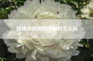 团建游戏抓鸭子游戏怎么玩  第1张