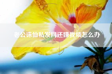 老公诛仙私发网还嫌我烦怎么办