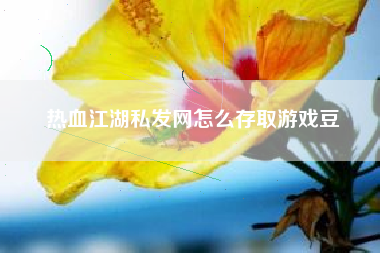 热血江湖私发网怎么存取游戏豆