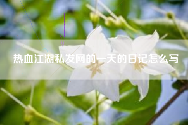 热血江湖私发网的一天的日记怎么写
