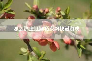 怎么热血江湖私发网快进游戏