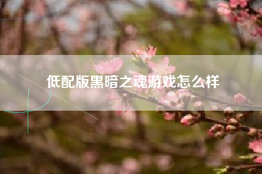 低配版黑暗之魂游戏怎么样