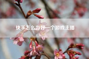 快手怎么当好一个游戏主播