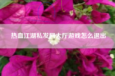 热血江湖私发网大厅游戏怎么退出