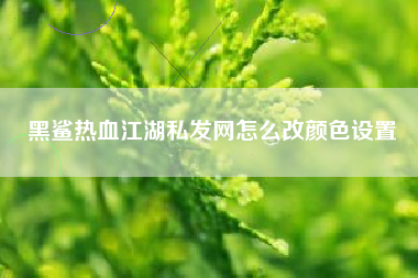 黑鲨热血江湖私发网怎么改颜色设置