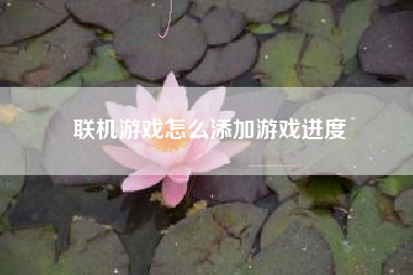 联机游戏怎么添加游戏进度