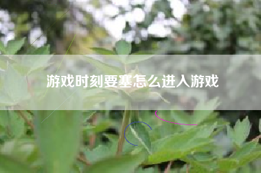 游戏时刻要塞怎么进入游戏