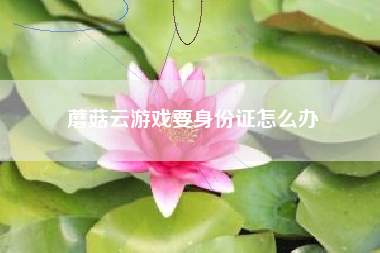 蘑菇云游戏要身份证怎么办