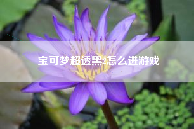 宝可梦超透黑2怎么进游戏
