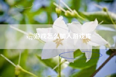 xgp游戏怎么加入游戏库