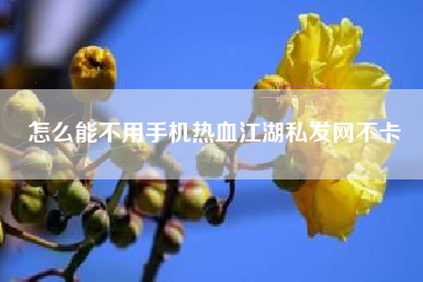怎么能不用手机热血江湖私发网不卡  第1张