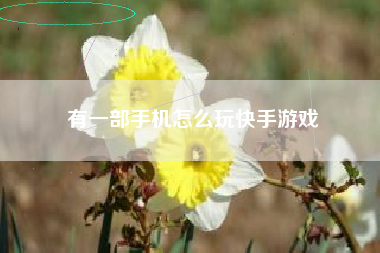 有一部手机怎么玩快手游戏