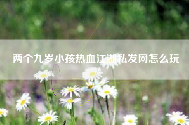 两个九岁小孩热血江湖私发网怎么玩