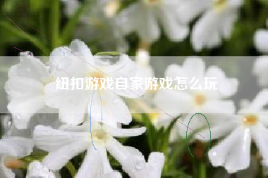 纽扣游戏自家游戏怎么玩