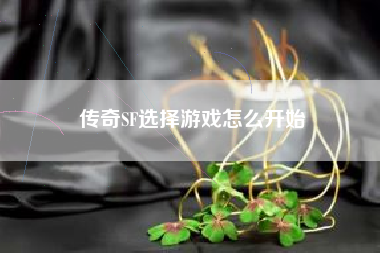 传奇SF选择游戏怎么开始
