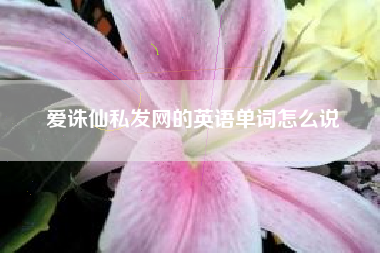 爱诛仙私发网的英语单词怎么说  第1张