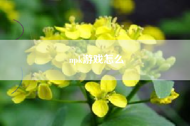 npk游戏怎么  第1张
