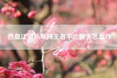 热血江湖私发网王者不会聊天怎么办  第1张