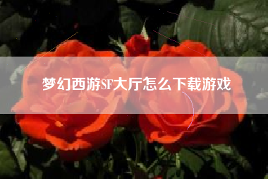 梦幻西游SF大厅怎么下载游戏