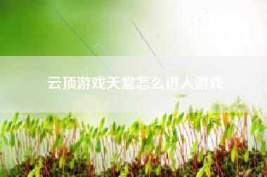 云顶游戏天堂怎么进入游戏