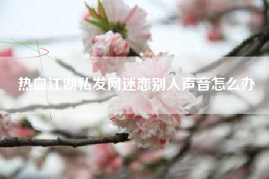 热血江湖私发网迷恋别人声音怎么办  第1张