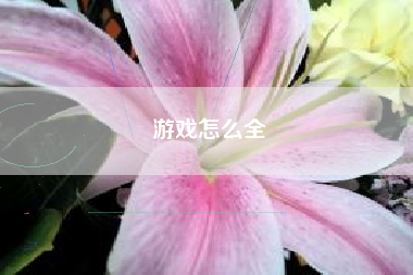 游戏怎么全